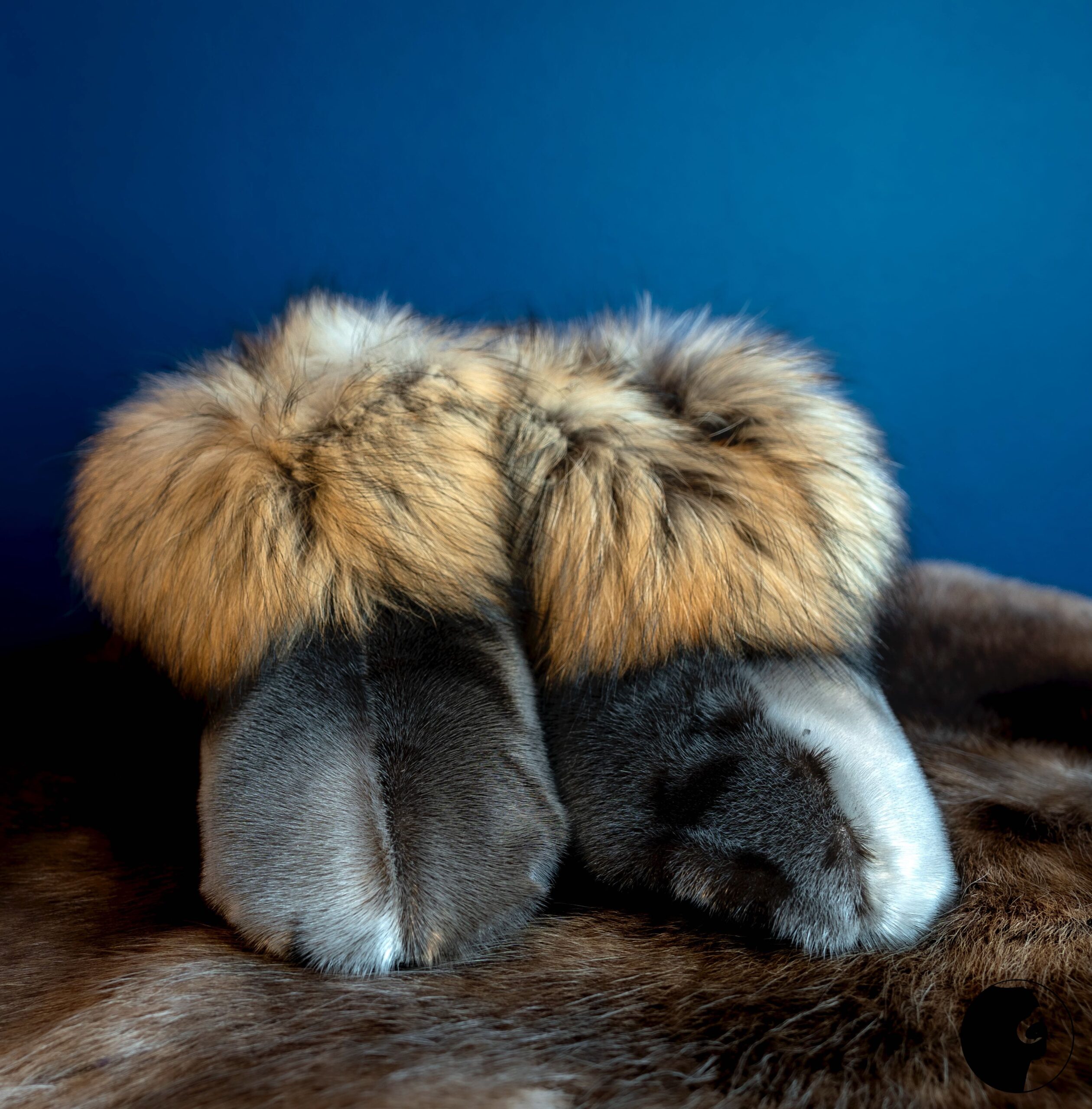 Children's slippers in sealskin